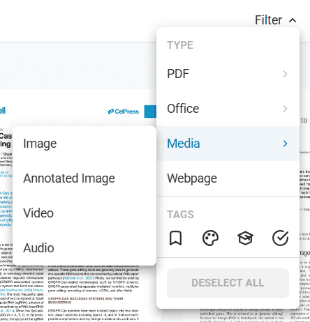Files filtering interface showing all available filter categories